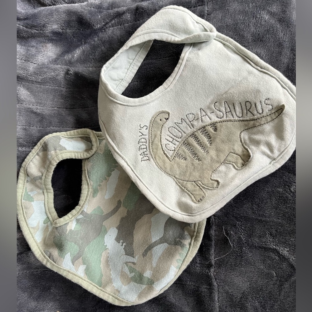 Two dinosaur bibs